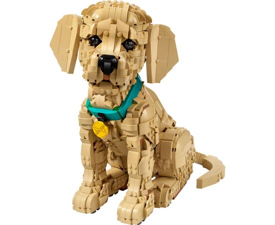 Конструктор LEGO Icons Щенок золотистого ретривера (11384), изображение 2