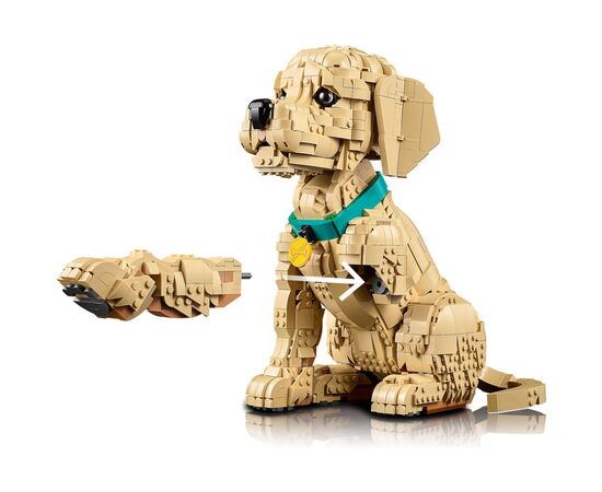 Конструктор LEGO Icons Щенок золотистого ретривера (11384), изображение 6