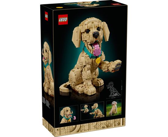 Конструктор LEGO Icons Щенок золотистого ретривера (11384), изображение 8