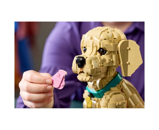 Конструктор LEGO Icons Щенок золотистого ретривера (11384), изображение 9