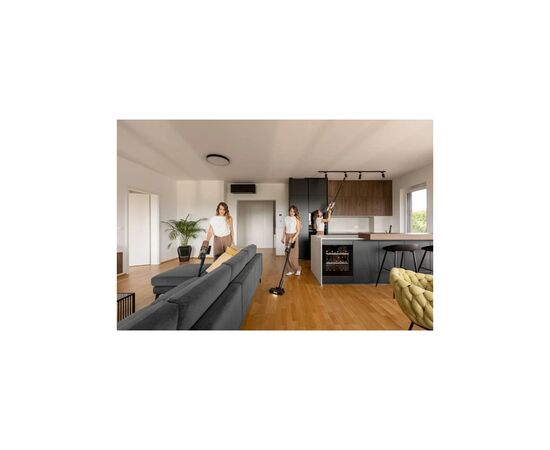 Пылесос Gorenje SVC259449NDCO, изображение 4