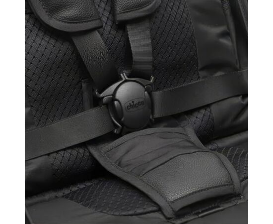 Коляска Chicco Goody Primo Stroller (87069.31), изображение 4