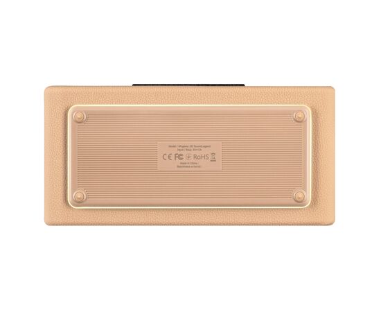 Акустическая система 2E SoundLegend PowerBank IPX6 RGB Brown (2E-BSSLWBN), изображение 9