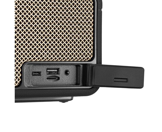 Акустическая система 2E SoundLegend PowerBank IPX6 RGB Black (2E-BSSLWBK), изображение 9