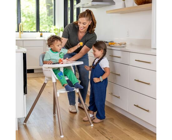 Стульчик для кормления Graco 3 в 1 Presti, мятный (3AJ999DEGEU), изображение 2