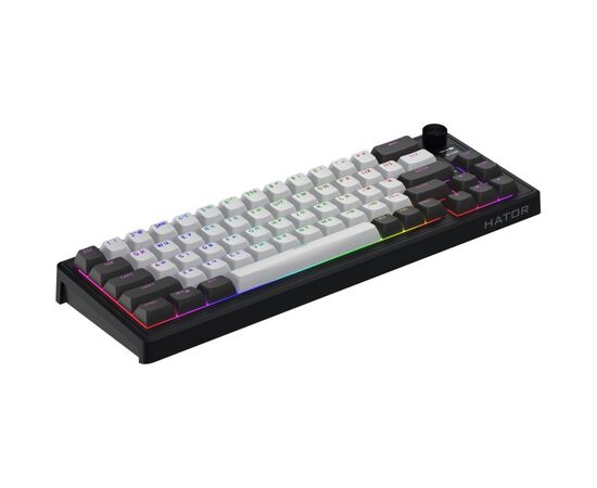 Клавиатура Hator Skyfall 65 Pro Aurum Vanila Silent RGB Wireless/Bluetooth/USB UA Grey/Black (HTK4160UA), изображение 4