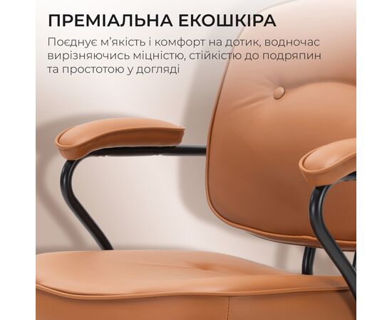 Офисное кресло Sihoo L3 PVC Brown (L3D-M101), изображение 11