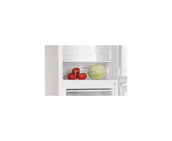 Холодильник Candy CCH1S518EW, изображение 7
