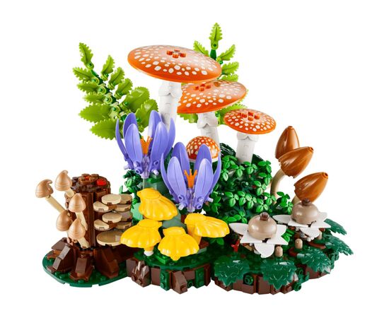 Конструктор LEGO Botanicals Лесные грибы (11505), изображение 3