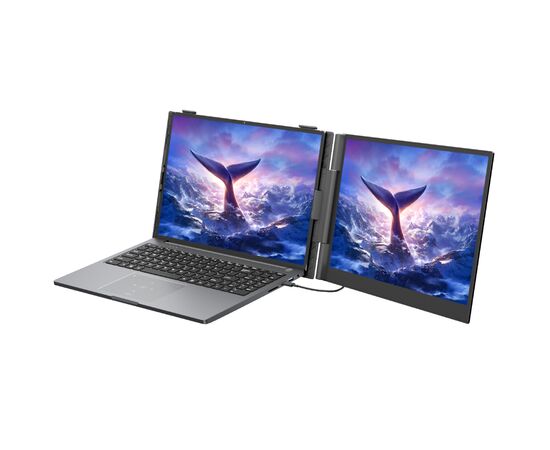 Монитор Blackview Single Screen 14inch (BVSCM6), изображение 2