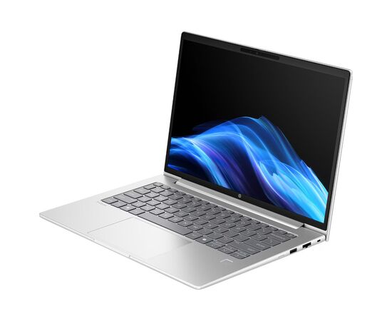 Ноутбук HP ProBook 4 G1i 14 (D0VG6ET), изображение 3