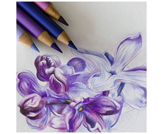 Карандаши цветные Faber-Castell POLYCHROMOS 102 кольори в металевій коробці (210061) (33048), изображение 4