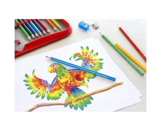 Карандаши цветные Faber-Castell Colour pencils Ergonomics, трифільні, 4 мм, 12 кольорів (116512) (32850), изображение 5