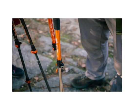 Трекінгові палиці Tramp Guide пара (UTRR-014), зображення 5