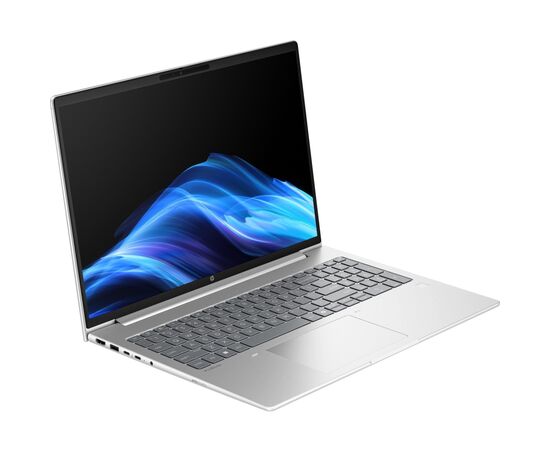 Ноутбук HP ProBook 4 G1i (D0VG1ET), изображение 2