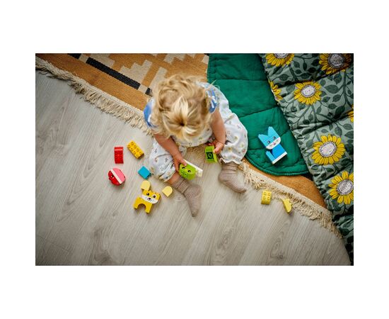 Конструктор LEGO DUPLO My First Очаровательные творческие домашние любимцы 3 в 1 (10477), изображение 12
