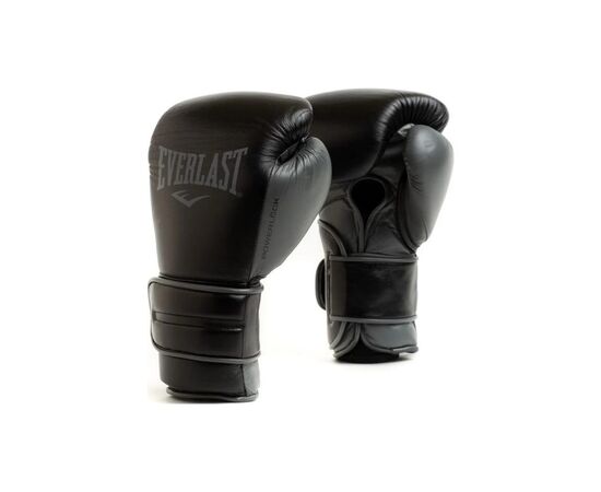 Боксерские перчатки Everlast Powerlock 2 Pro Training H&L Glove P00002428 чорний 16 унцій (009283609658)