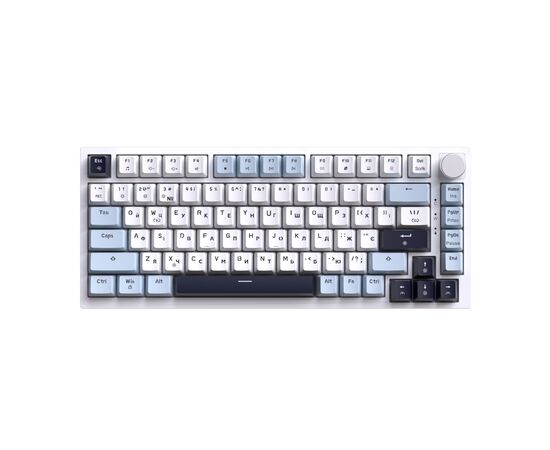 Клавіатура GamePro MK160 V2 Warden QLAB Sakura Linear RGB USB UA White (MK160-V2-BL-QS)