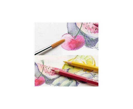 Олівці кольорові Faber-Castell акварельні, 24 кольори + пензлик в картонній коробці (114425) (1408), зображення 5