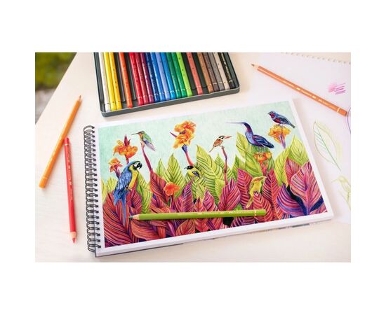 Олівці кольорові Faber-Castell POLYCHROMOS 24 кольора, в металевій коробці (110024) (15441), зображення 5