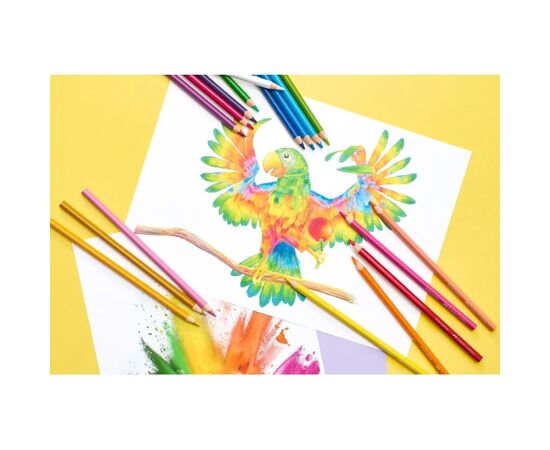 Олівці кольорові Faber-Castell Colour pencils Ergonomics, тригранні 24 кольора, (116544) (32851), зображення 7